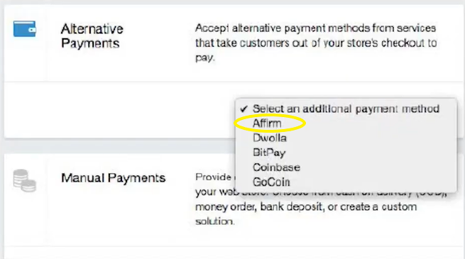 3._Alternative_Payments_Section.png